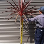 DSC00251-e1400913937215-